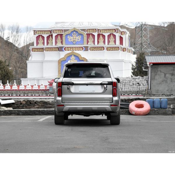 360 Horsepower Petrol Hybrid SUV Cars 5 Seats Silver Tank 500 3.0T