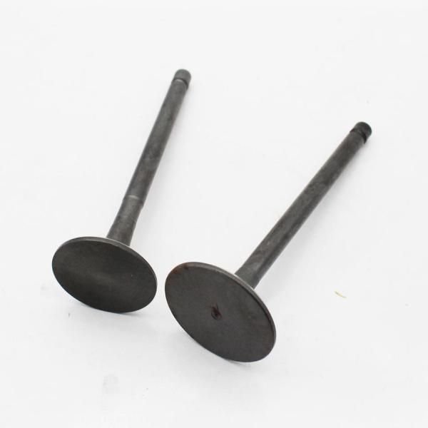 Клапан двигателя дизеля 17111-13120 вытыхания входа V2403 17111-13110 подходящее Kubota