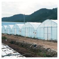8x30 Mètre Agriculture Commercial Vegetable Film en plastique Tunnel Serre Pour la Tomate Roses Champignon