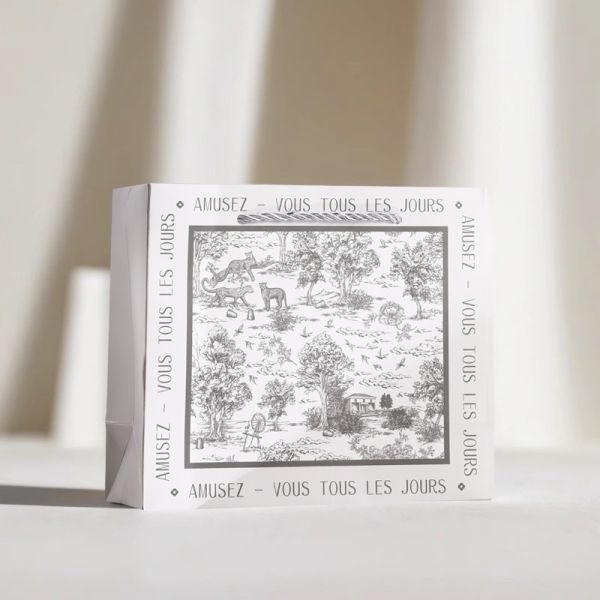 Sac cadeau de luxe Illustration haut de gamme Emballage Poignée en jute naturelle Saint-Valentin Occasion spéciale Sac cadeau