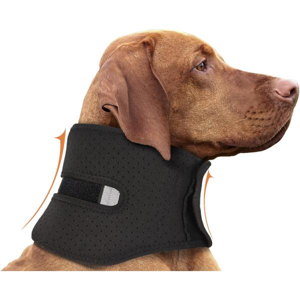 Dog neck brace