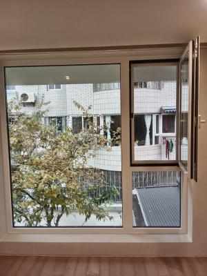Fly Screen Mosquito Screen Retractable Sliding Roller Retractable Screen Window Customized