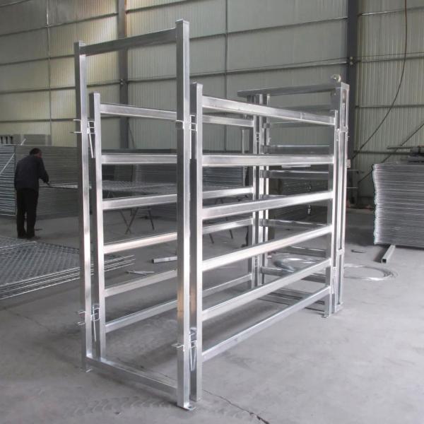 50*50*1.6mm Cattle Crush Head Hot Dip Galvanized Steel Tube