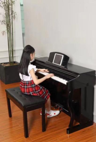 piano factory china digital piano portable 88 keys electric china keyboard piano Asia Constansa Instrument Export co Ltd