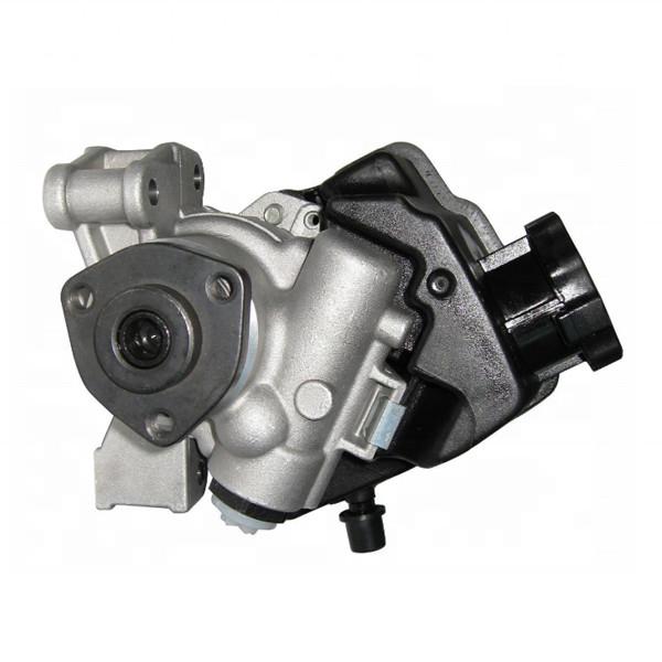 0024667501 0024667601 Hydraulic Power Steering Pump For Benz