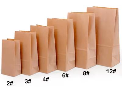 Sacos de embalagem de alimentos biodegradáveis de papel kraft reciclável