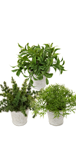 Spinulosa Fern Plants Bushes Fake Shrubs Greenery Plants Faux Fern Snakewood Outdoors UV Resistant Garden Plants