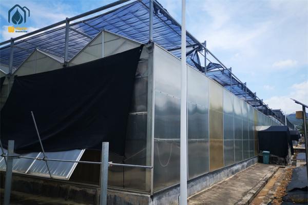Serre à double paroi en polycarbonate résistant aux UV Serre pour fermes modernes
