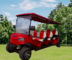 Equipped Standing Position of Tail Caddie Custom Electric Golf Car for Discount Sales
