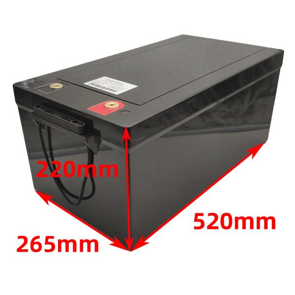 12V 250AH BMS Protection Lithium LiFePO4 Battery Pack for EV Energy Storage