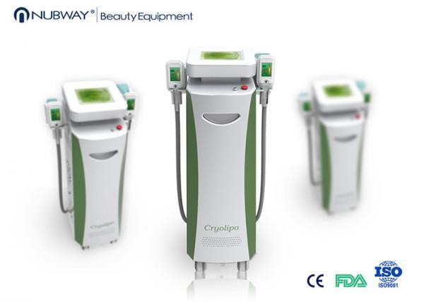 Cool tech fat freezing machine fat sculpting machine 2 handles fat removal equipment cryolipolysis