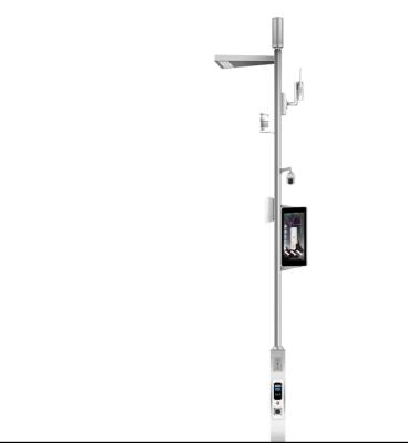 Villiage walk road Outdoor Smart City LED Street Lamp Poles with Pole Camera