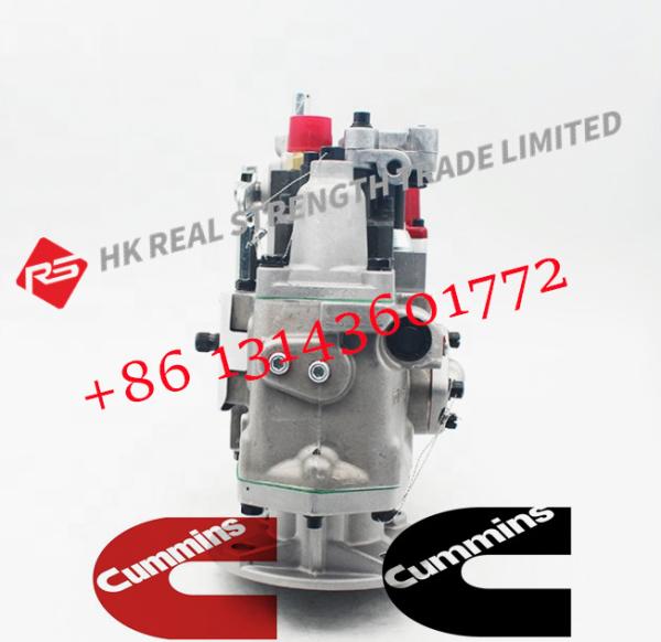 Diesel Engine Parts Fuel Injection Pump 3015958 3059657 For Cummins NT855-C