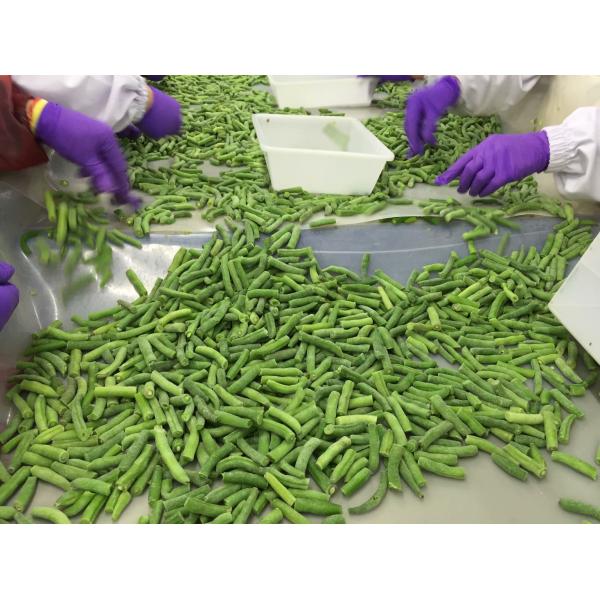 New Harvest 100% Natural Vegetables Fresh IQF Green Beans Cut For Catering