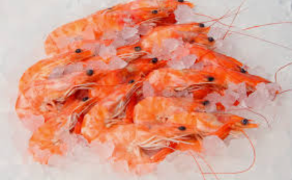 Лучшая машина для изготовления ледяных хлопьев для конкурентоспособной и безопасной переработки креветок