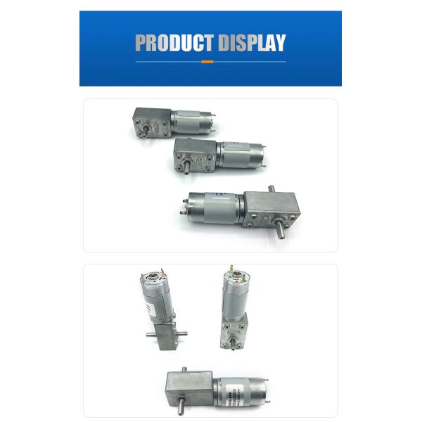 Customized Manufacturer FT-46SGM395-69K 12V Micro DC Gear Motor 24V Worm Gear Motor