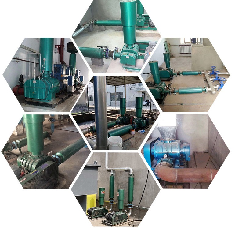 2.2kW 3HP Roots Blower Shrimp Farming Aerator for Fish Prawn Pond Aeration