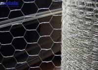 Maillage galvanisé hexagonal 1/2