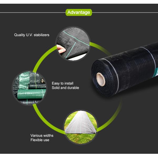 Garden Agricultural Weed Mat,Plastic Ground Cover, Weed Control Mat, pp woven grass mat, black woven pp fabric