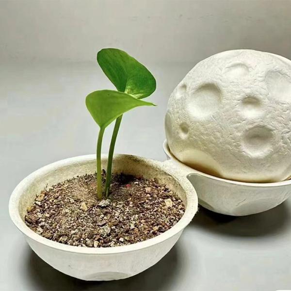 Boîte cadeau en pâte moulée écologique Ronde, biodégradable