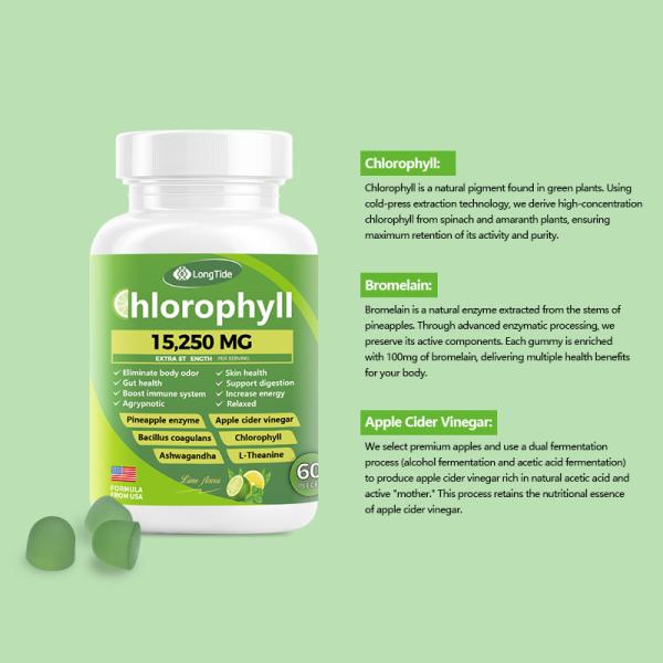 Men's & Women's Health Gummies – Lime Flavor with Chlorophyll, Apple Cider Vinegar, Pineapple Enzyme & Probiotics