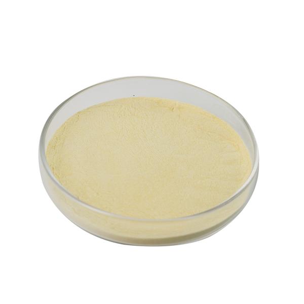 High Purity Glucose Oxidase 5000U/G Powder