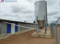 Structure en acier préfabriquée Équipement de la ferme porcine pour l'accouplement