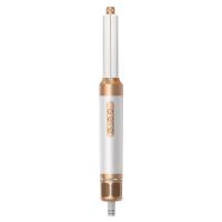 Réglateur à brosse à chaud à ions négatifs professionnel de 1400W avec prises mondiales
