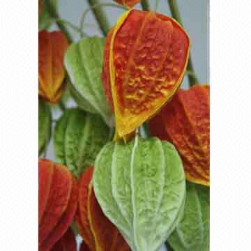 Real Touch PU Cape Gooseberry
