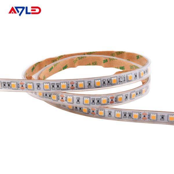 5050 únicas luzes de tira impermeáveis 12V do diodo emissor de luz da cor 24V IP65 exterior verde azul branco morno IP68
