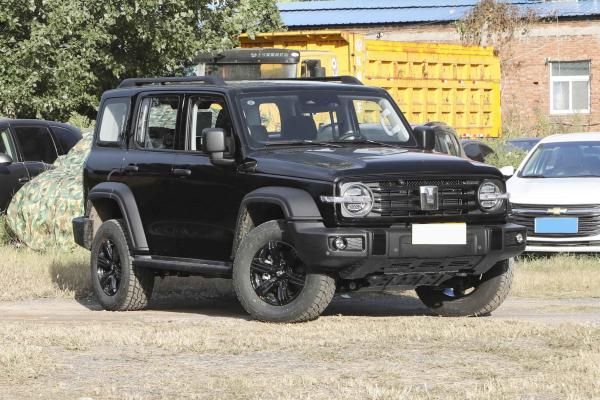 Assentos automáticos do carro posto 5 do combustível dos jovens do tanque 300 de alta velocidade