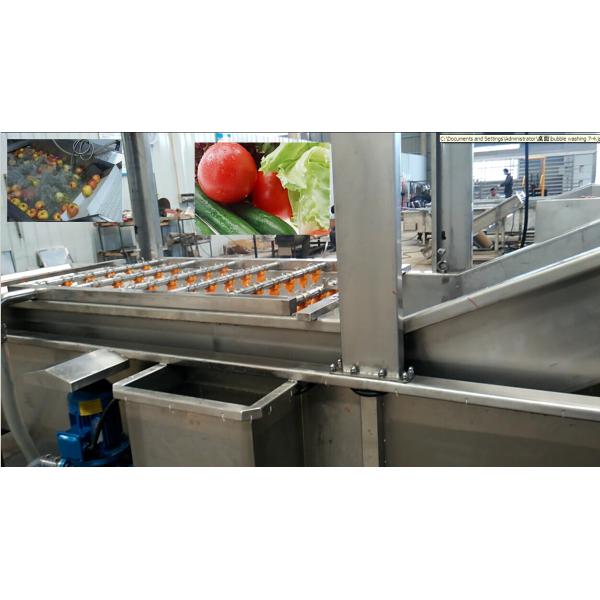 Full Automatic Apple Processing Equipment , Fruit And Vegetable Washer Machine