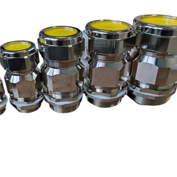 Exd SS304 SS316 Explosion Proof Cable Glands IP66 Waterproof Double Compression Armoured