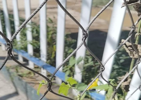 Outdoor Custom Decortaive 3.0mm Stainless Steel Rope Mesh Green Wall Cable Network Plant Climbing