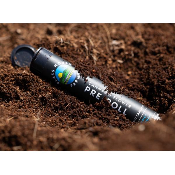 Doob Joint Pre Roll Tubes Child Resistant Pre Roll Packaging Plastic Smoking Pop Top Blunt Tube