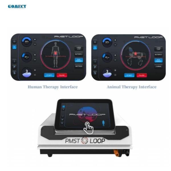 Gomecy PMST LOOP PEMF Therapy Device for Back Neck Joint and Tendon Conditions with Lasting Effects