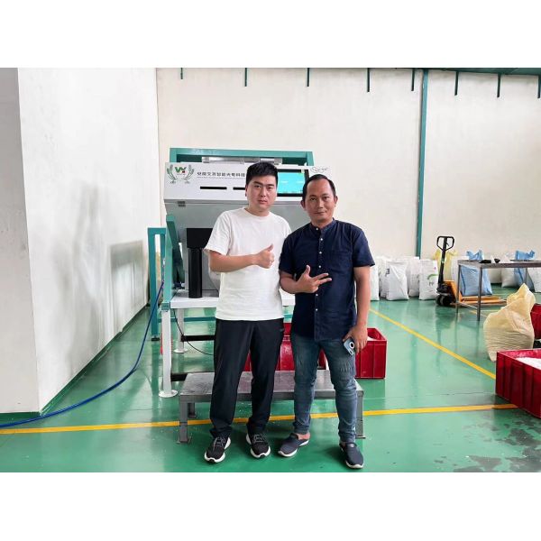 Wenyao Plastic Coffee Bean Peanut Colour Sorting Machine Colour Sorting Machine Rice Colour Sorting Machine Grain