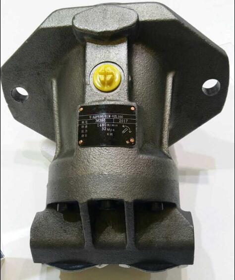 Bomba de pistão hidráulica do projeto modular com opções da movimentação de velocidade variável