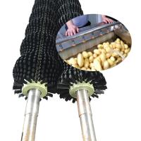 Limpeza de cilindro Metal Industrial escovas rotativas para descascar batatas ODM