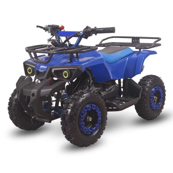 CE Certified 49cc 4 Stroke Gas Powered Kids Quad Bike with Disc Brake and High Voltage