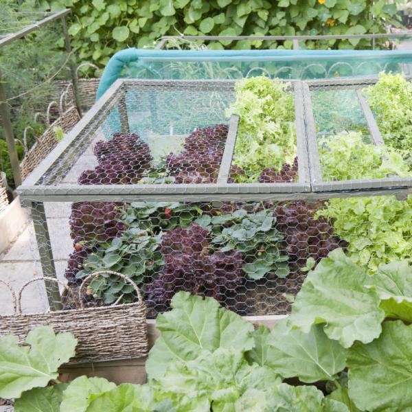 Шестиугольное плетение цыпленка крена 1.8мм сетки Габион