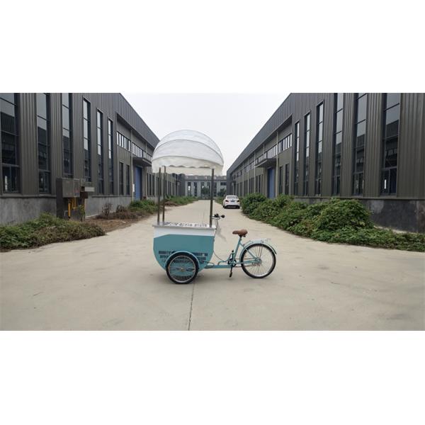 Ice Cream Bike Freezer Mobile Food Bike for Shop Fried Chicken Hamburger Pizza BBQ