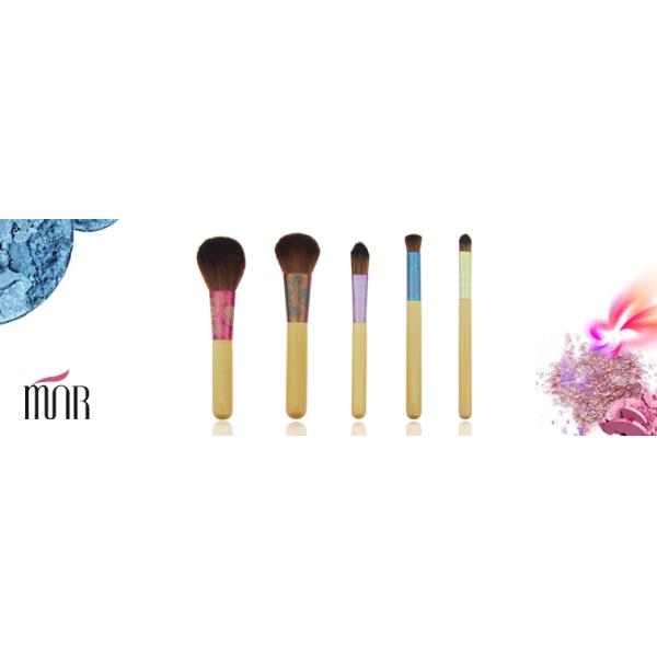 Colorful Travel Size Makeup Brushes , 10 Piece Cosmetic Makeup Brush Set