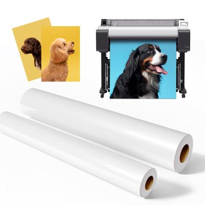 Microporous RC Luster Photo Paper Roll 260gsm for Epson Large Format Printers