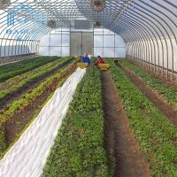 Polytunnel zinguent la bâche de membranes de PE de serre chaude de cadre en acier