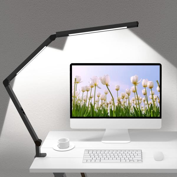 Clamp Desk Lamp Dual Light Swing Arm Adjustable Heat Lamp For Home