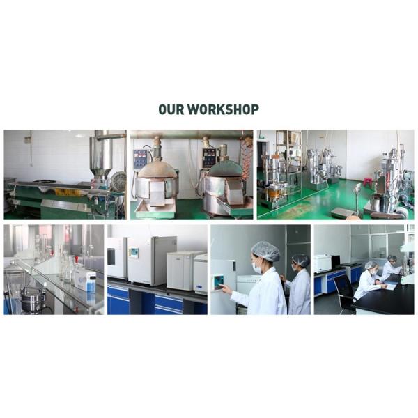 Evening Primrose Oil Healthy Edible Oil Remission Of Menopausal Symptoms