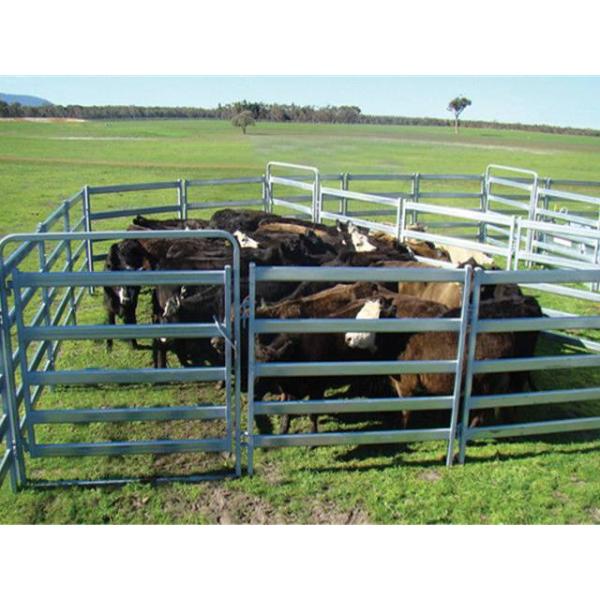 Панели двора сельскохозяйственного оборудования двора фермы портативные гальванизировали панели поголовья Austrlia