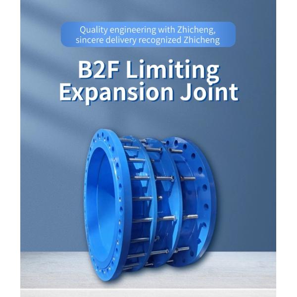High-pressure B2F Double Flange Expansion Joint for Petrochemical Pipelines Seismic Design of Expansion Joints for Metro Tunnel
