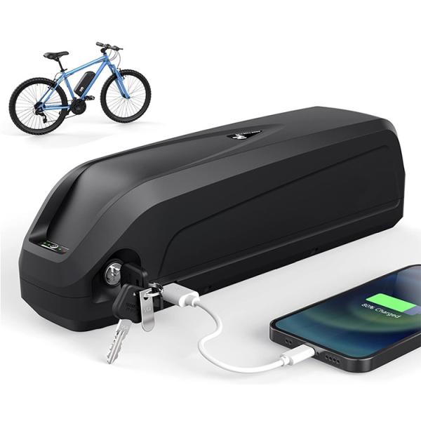 Intelligent BMS 48v 30ah Lithium Ion Battery Lifepo4 Electric Bike Battery 6000cycles